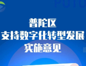 一图看懂《普陀区支持数字化转型发展实施意见》