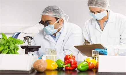 食品检验检测机构质量控制关键点探讨